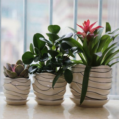 LoveBoutique Ceramic Flower Plant Pot, Size 4-inch, 6-inch and 7-inch — Modern (Set of 3).